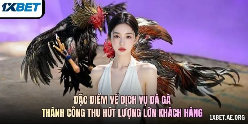 Đặc điểm về dịch vụ đá gà thành công thu hút lượng lớn khách hàng